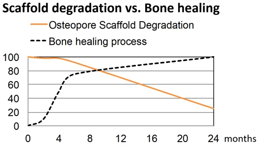 Scaffold degradation vs bone healing